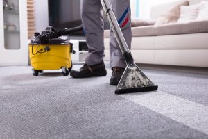 Why Professional Carpet Cleaners Matter