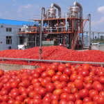 Cost Analysis: Setting Up a Tomato Paste Processing Line