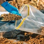 Professional Soil Testing: Quality Service in Mackay