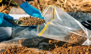 Professional Soil Testing: Quality Service in Mackay