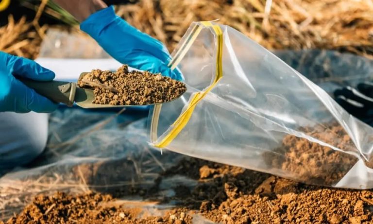 Professional Soil Testing: Quality Service in Mackay