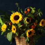 Why Sunflowers Are Linked to Positivity and Warm Energy