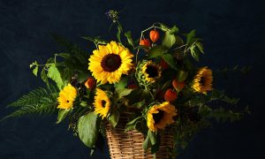 Why Sunflowers Are Linked to Positivity and Warm Energy